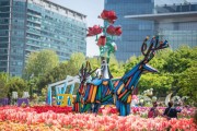 고양국제꽃박람회, "지구환경과 꽃"을 주제로 확장된 행사장에서 개최